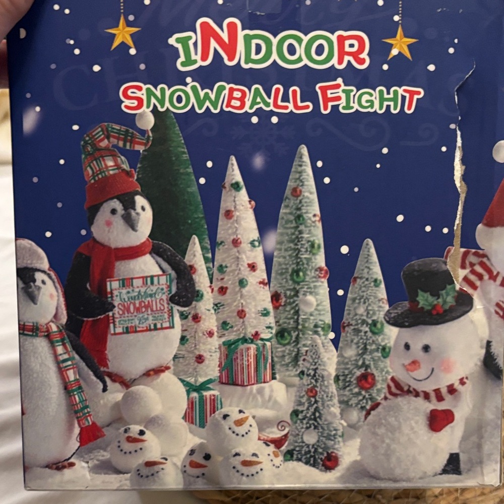 Indoor Snowball Fight Set 50pc